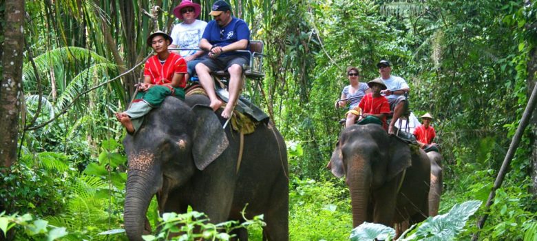 krabi elephant ride
