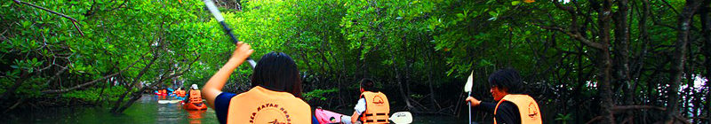 Krabi island tour package by local travel agent budget price
